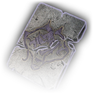 Rune of the Wolf image