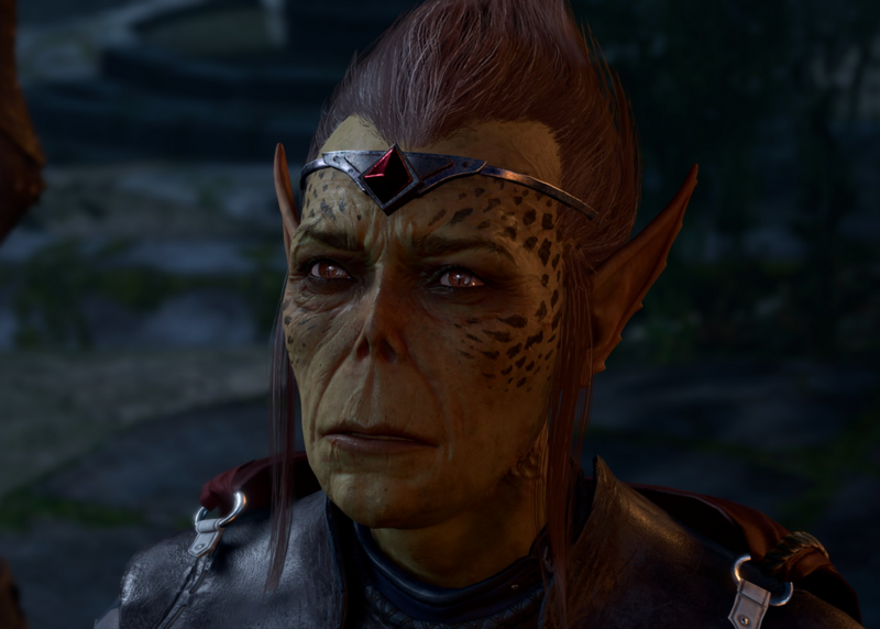 File:Voss camp visit.png