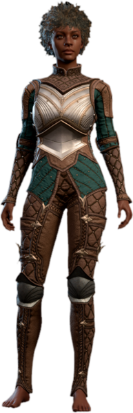 File:Breastplate Human Front Model.webp