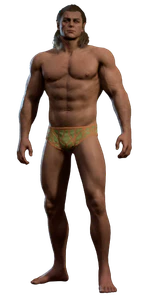 Halsin's underwear model