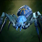 Phase Spider Matriarch