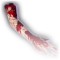 Thumbnail for version as of 14:14, 13 December 2023