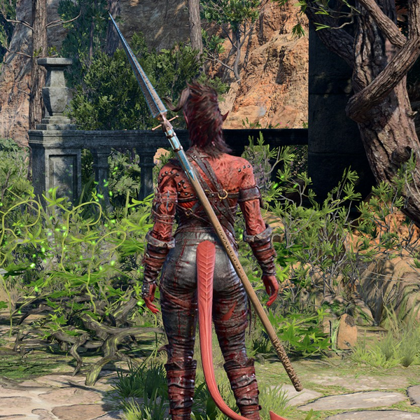 File:The Watcher's Guide ingame.png