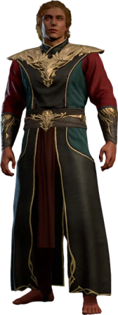 Robe of Exquisite Focus Half-Elf Front