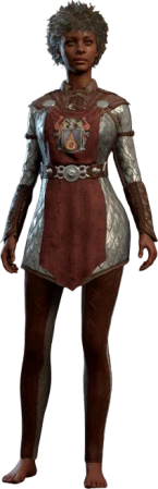 Scale Mail Flaming Fist Human Front