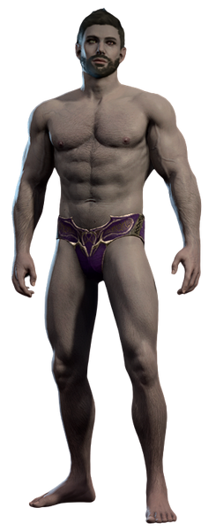 File:Shadowheart Underwear Male Front.png