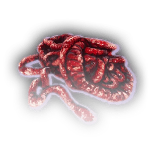 Intestines image