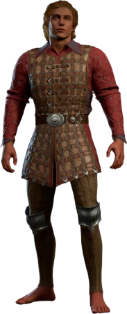 Ring Mail Armour High Elf Front