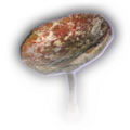 Thumbnail for version as of 11:15, 24 January 2024