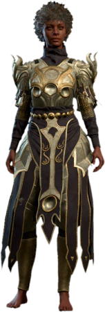 Dark Justiciar Mail Human Front