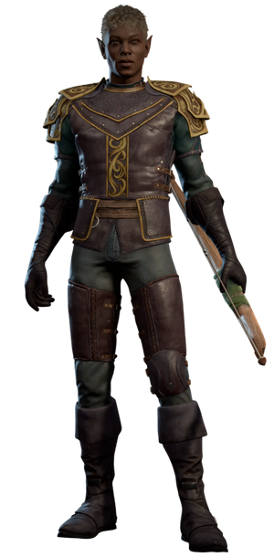 Model