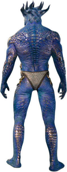 Bronze Underwear Dragonborn Back