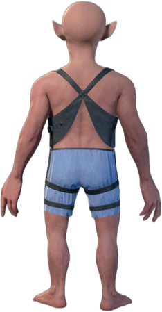 Blue Underwear Gnome Back