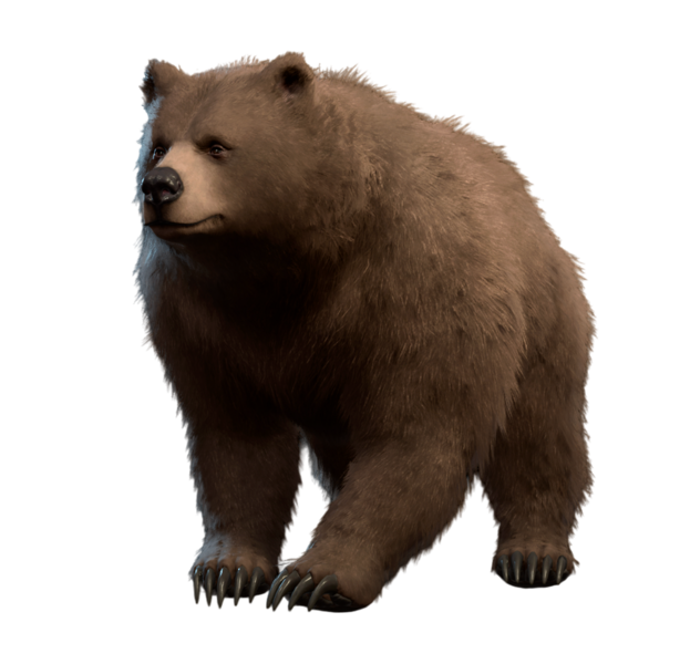 File:Ursa Model.png
