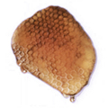 Thumbnail for version as of 22:02, 4 October 2023