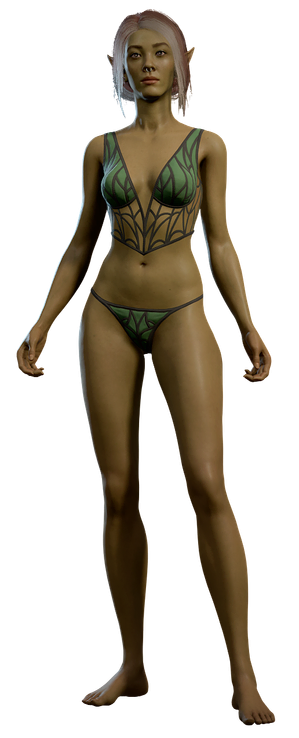 Model