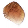 Thumbnail for version as of 19:15, 15 September 2023