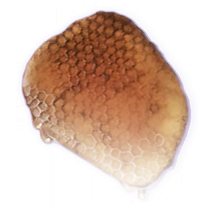 Honey Comb image