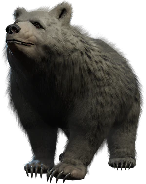 A white bear