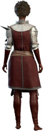 Emblazoned Plate of the Marshal Human Back