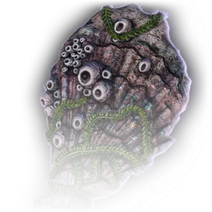 Fossilised Shell image