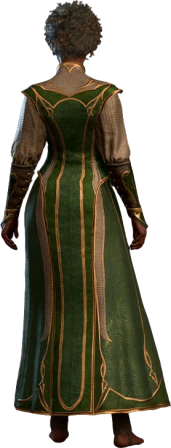 Robe of Supreme Defences Human Back