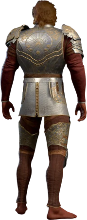 Half Plate Armour +1 High Elf Back