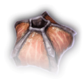 Thumbnail for version as of 11:08, 18 February 2023