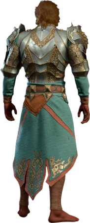 Armour of Devotion High Elf Back