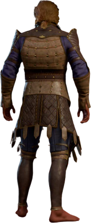 Studded Leather Armour +2 High Elf Back