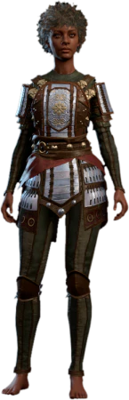 Splint Armour Human Front