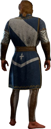 Scale Mail of Devotion High Elf Back