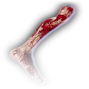 Severed Leg image