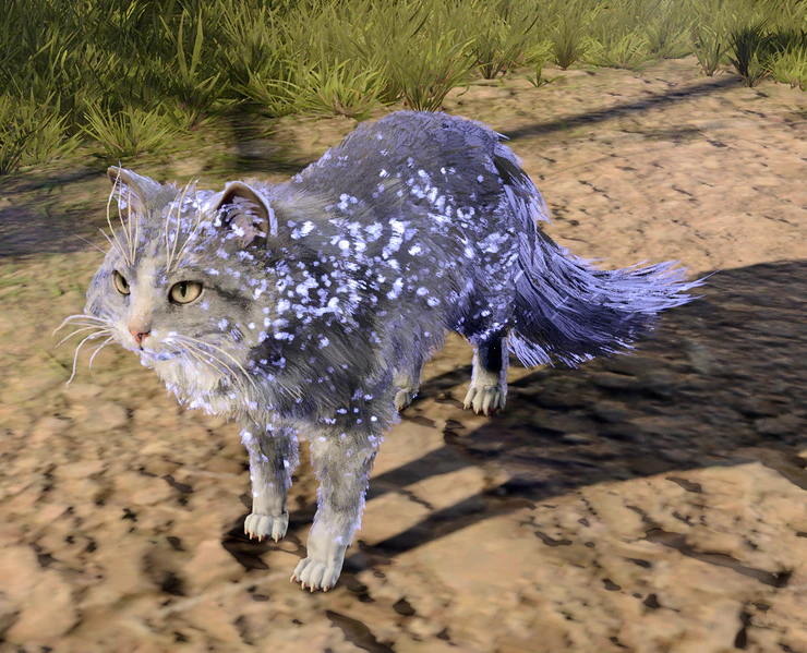 File:Cat (Minor Illusion).png