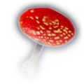 Thumbnail for version as of 12:20, 15 September 2023