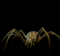 Thumbnail for version as of 03:48, 26 November 2023