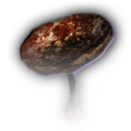 Thumbnail for version as of 12:57, 13 December 2023
