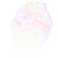 Thumbnail for version as of 07:19, 17 October 2023