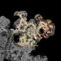 Thumbnail for version as of 08:13, 14 August 2023