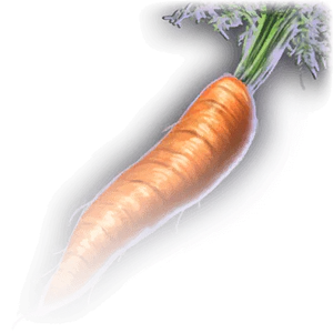 Carrot image