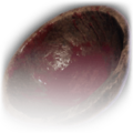 Thumbnail for version as of 14:24, 13 December 2023