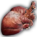 Thumbnail for version as of 20:40, 15 April 2024