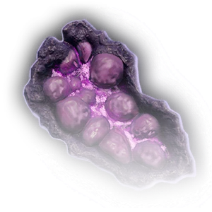 Bulbous Fungus image