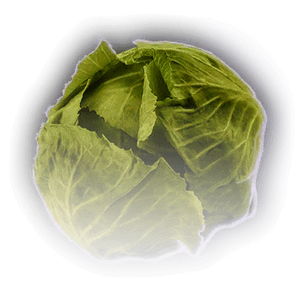 Spoiled Cabbage image
