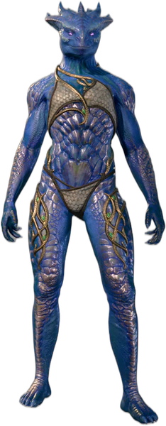 Bronze Underwear Dragonborn Front