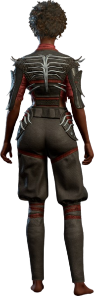 File:The Graceful Cloth Human Back Model.webp