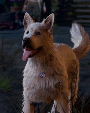 In-game