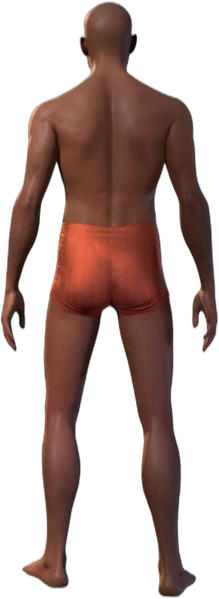 Underwear B Human Back