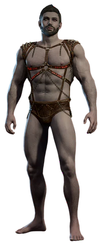 Male Incubus Underwear