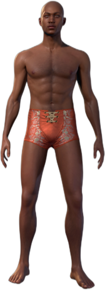 File:Underwear Human B 1.png
